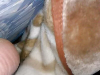 En stor röv slampa rider på en dildo gratis knullfilmer